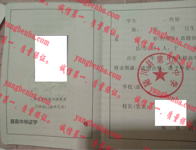 陆川县第六中学毕业证样本