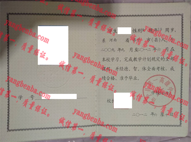 洛宁县第一高级中学毕业证样本
