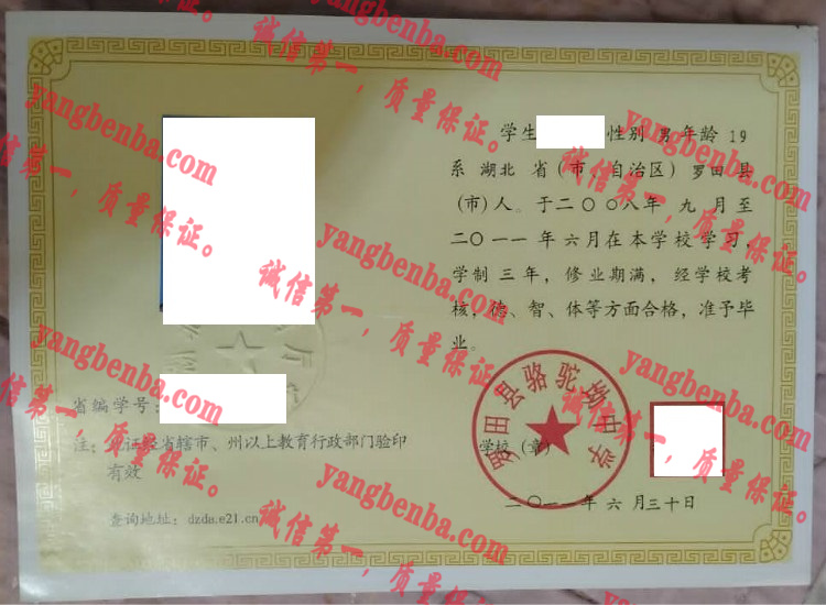 罗田县骆驼坳中学毕业证样本