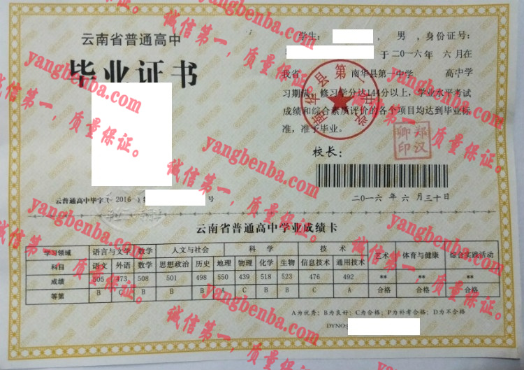 南华县第一中学毕业证样本