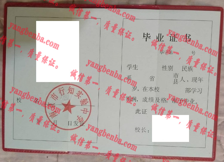 南京市行知实验中学毕业证样本