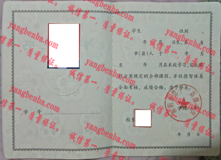 南阳市第十一高级中学毕业证样本