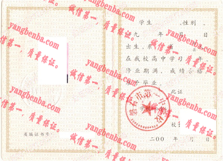 磐石市第一中学毕业证样本