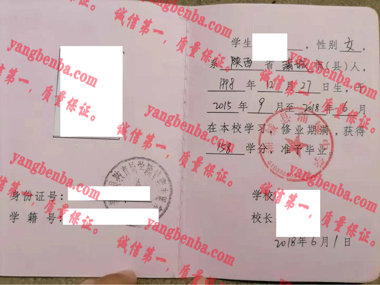 蒲城县蒲城中学毕业证样本