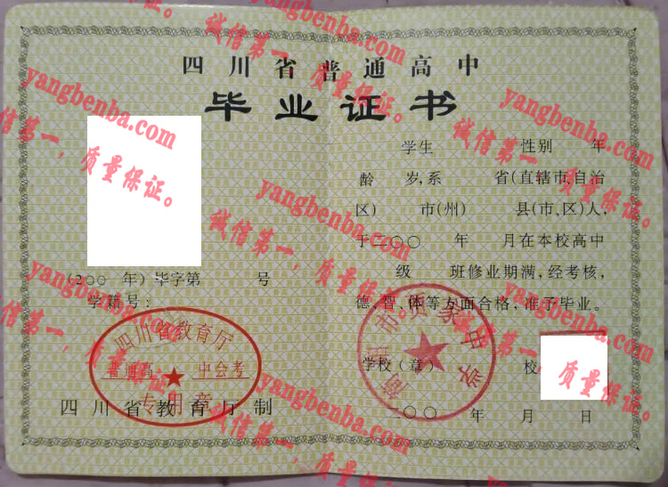 濮阳市贾家中学毕业证样本