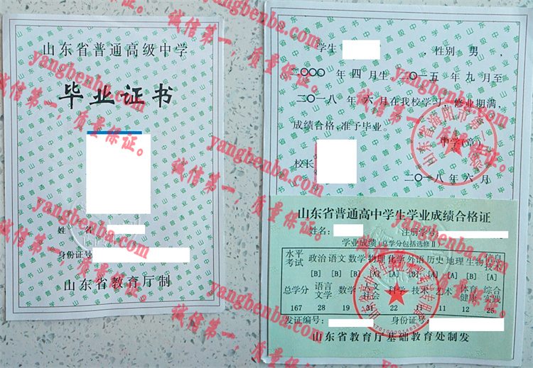 山东省海阳市第一中学毕业证样本