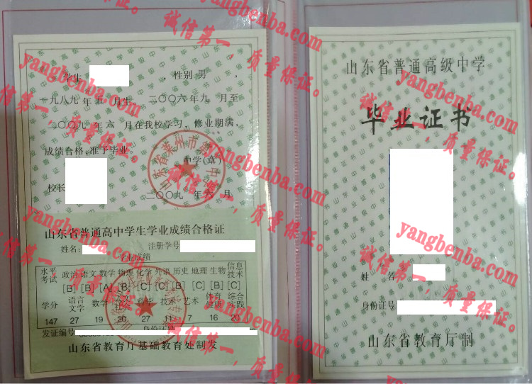 山东省莱州市第一中学毕业证样本