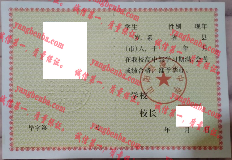 山阳县漫川中学毕业证样本