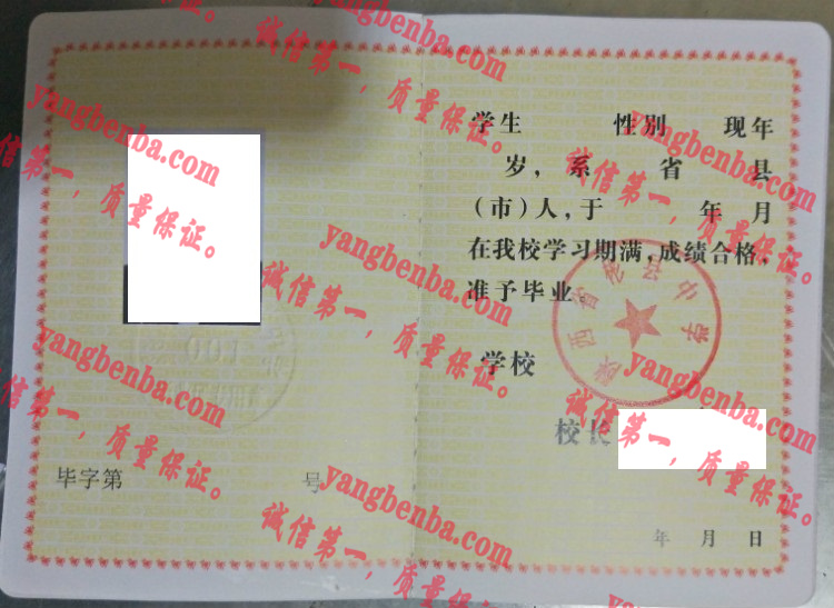 陕西省彬县中学毕业证样本