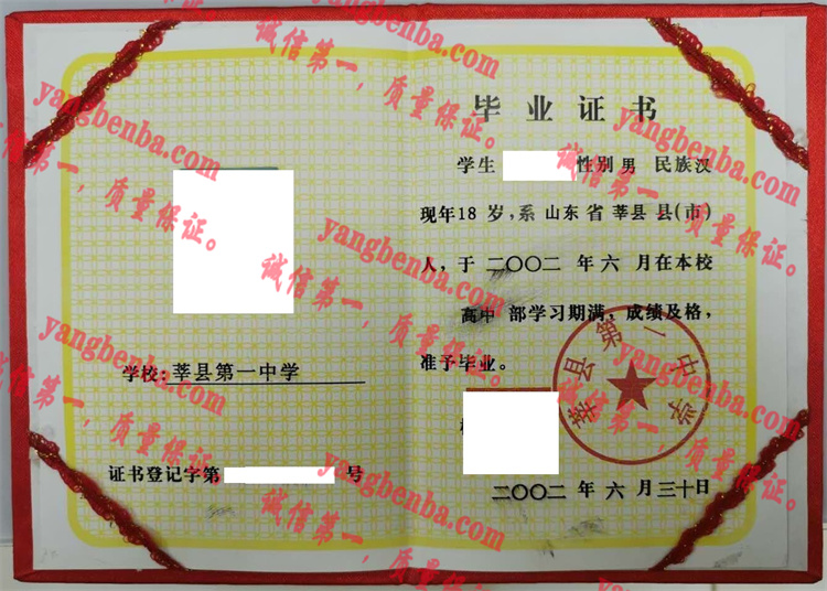 莘县第一中学毕业证样本