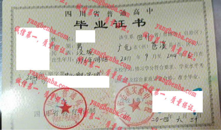 四川省苍溪实验中学校毕业证样本