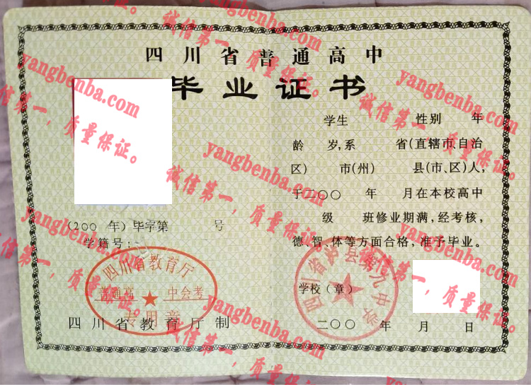 四川省泸县第九中学毕业证样本