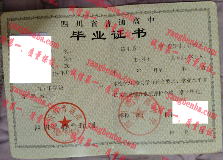 四川省平昌中学毕业证样本
