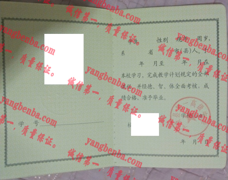 太康县第一高级中学毕业证样本