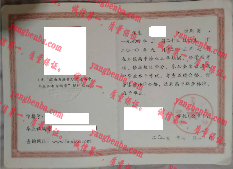 桃源县第三中学毕业证样本