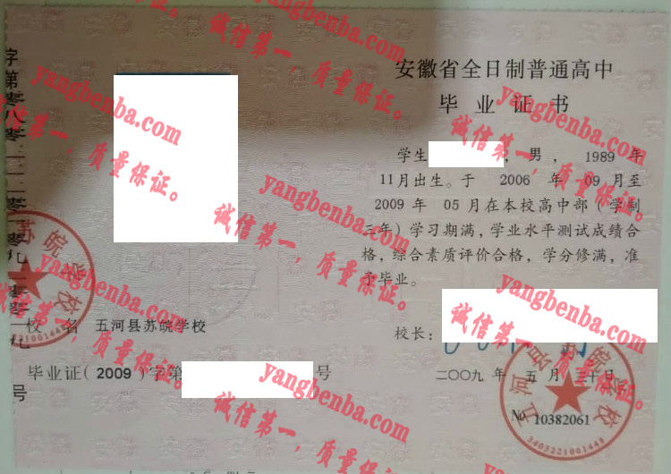 五河县苏皖学校毕业证样本