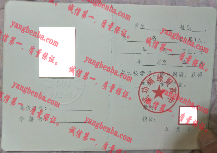 武功县绿野高级中学毕业证样本