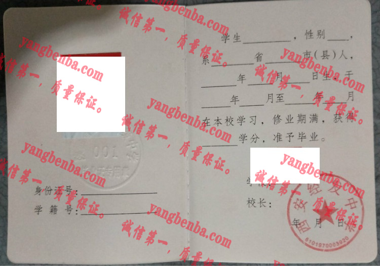 西安经发中学毕业证样本