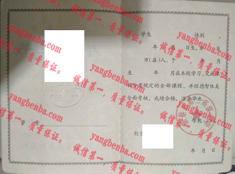 新蔡县第二高级中学毕业证样本