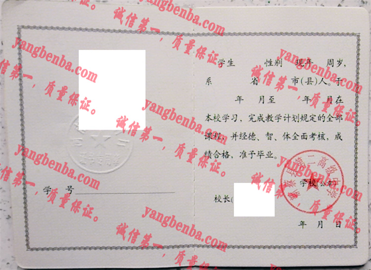 新蔡县第二高级中学毕业证样本