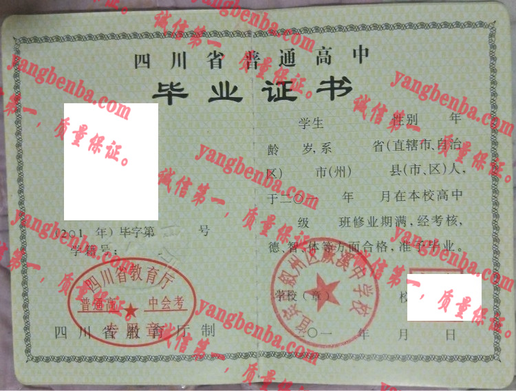 宜宾市叙州区蕨溪中学校毕业证样本