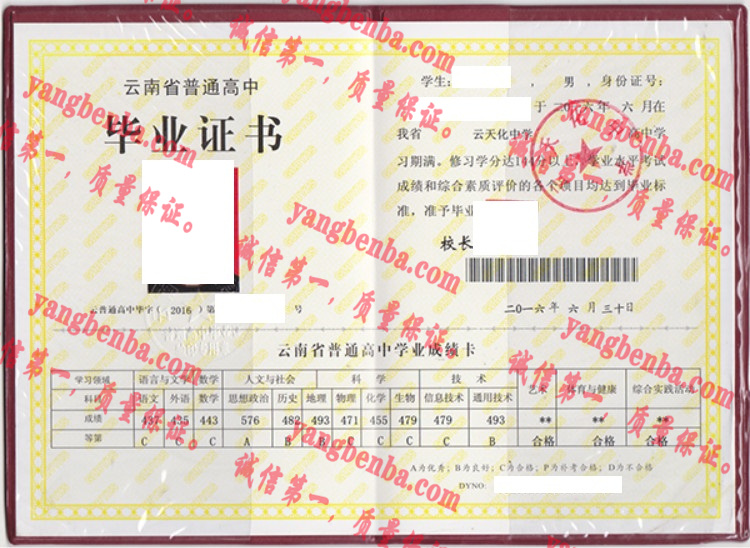 云天化中学毕业证样本