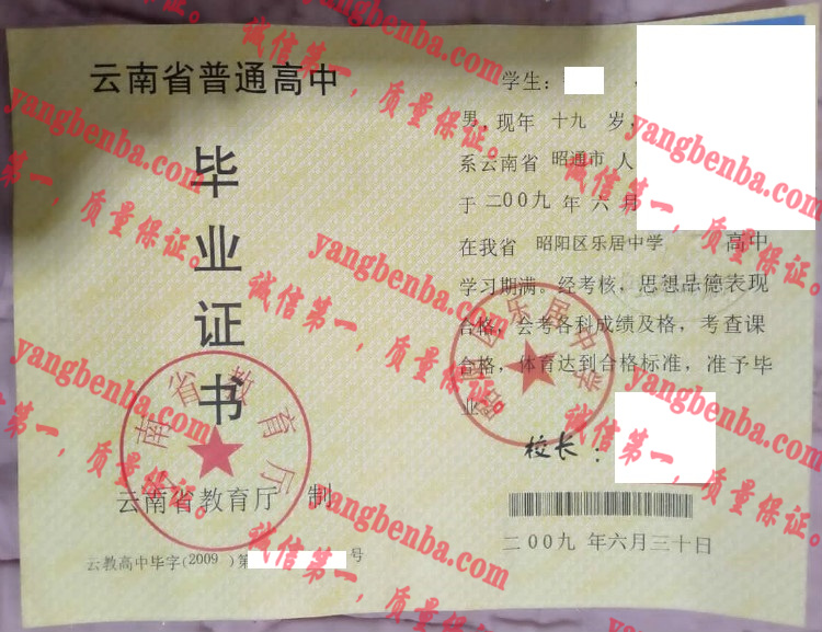 昭阳区乐居中学毕业证样本