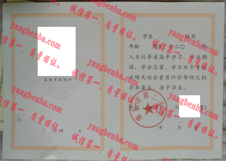 肇东市第二中学毕业证样本