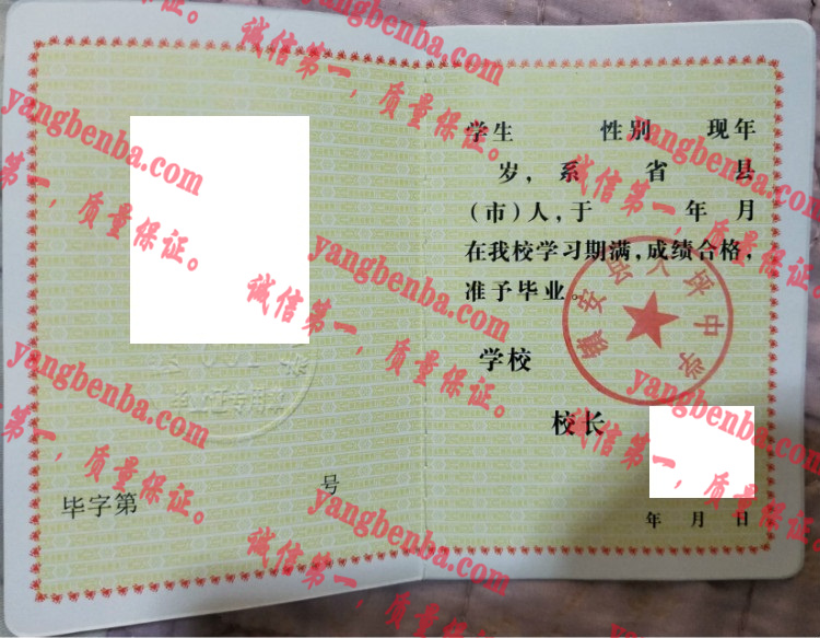 镇安县大坪中学毕业证样本