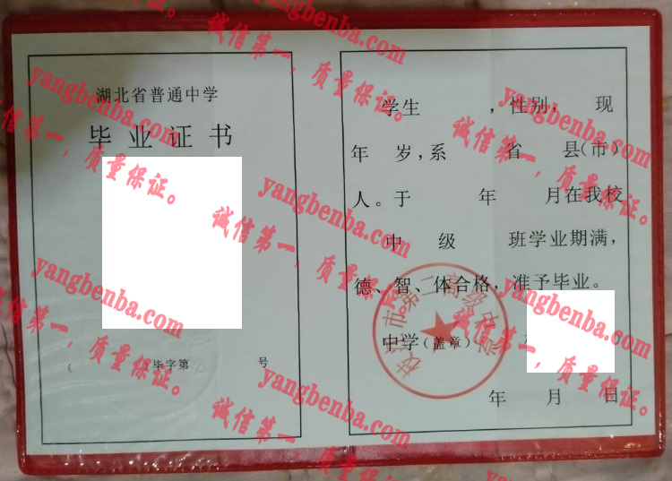 枝江市第二高级中学毕业证样本