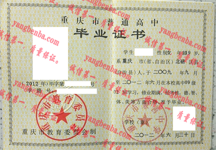 重庆市兼善中学毕业证样本