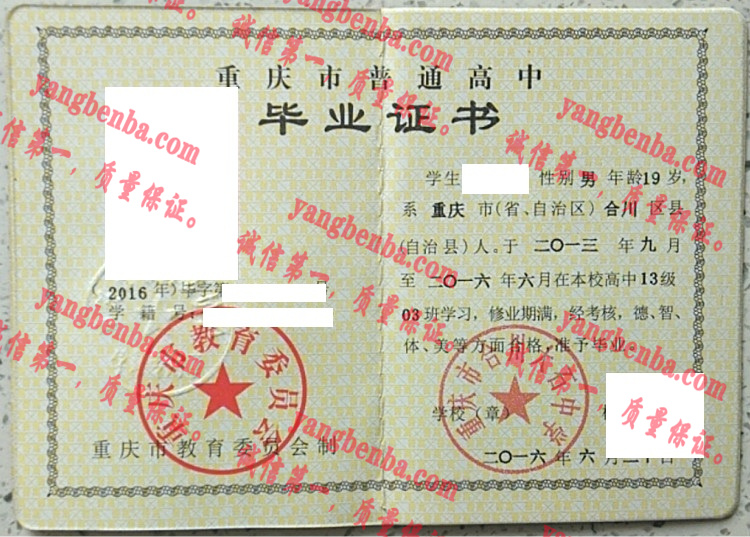 重庆市合川大石中学毕业证样本