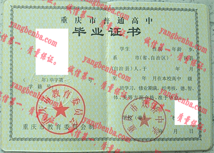 重庆市双桥中学毕业证样本