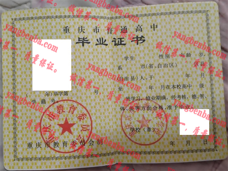重庆市长寿渡舟中学校毕业证样本