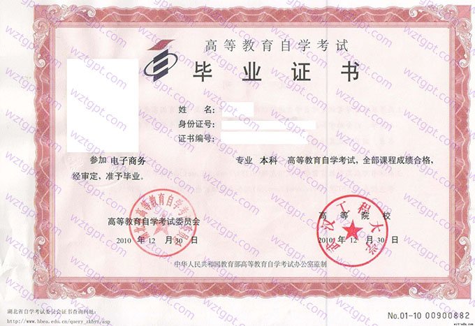 武汉工程大学2010年自学考试本科毕业证书样本图片（电子商务）